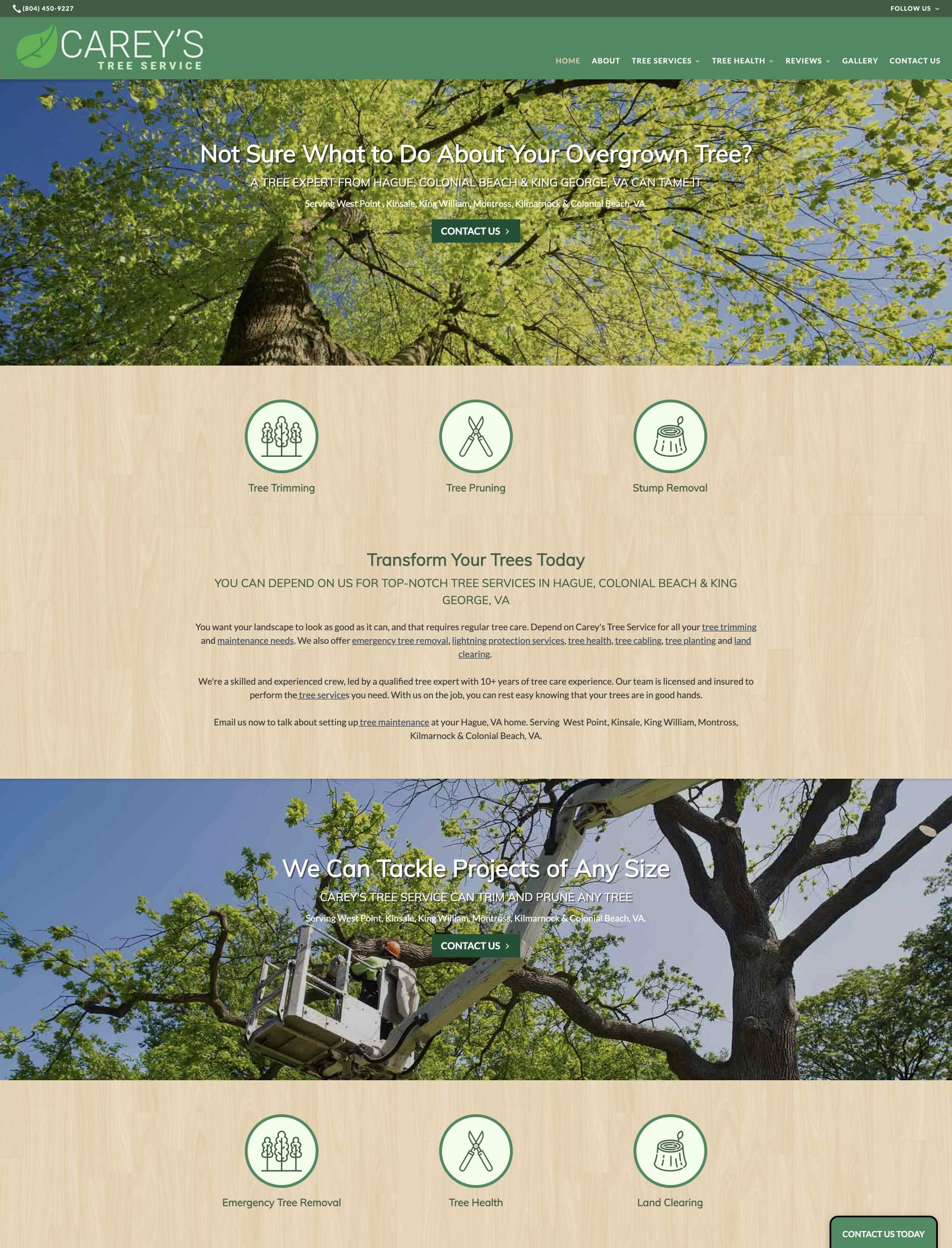 Top Tree Service  Designs Townsquare Interactive