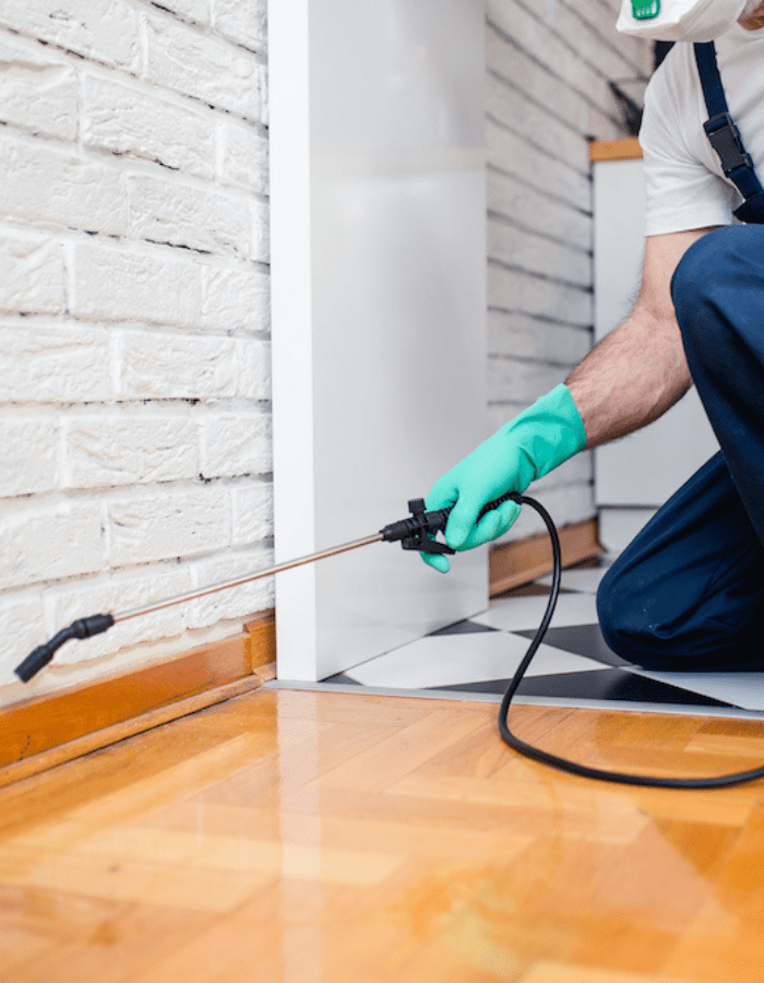 Townsville Termite & Pest Control Pest Control Townsville