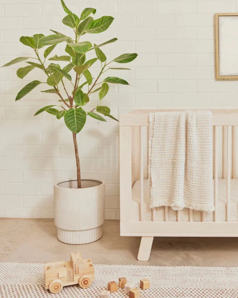 The 11 Best NonToxic Cribs of 2024 GREENGUARD Gold Certified Toxic