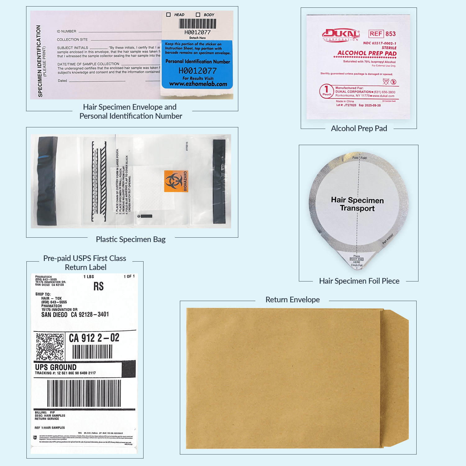 Accurate Hair Confirm Home Hair Testing Kits Toxin Rid®