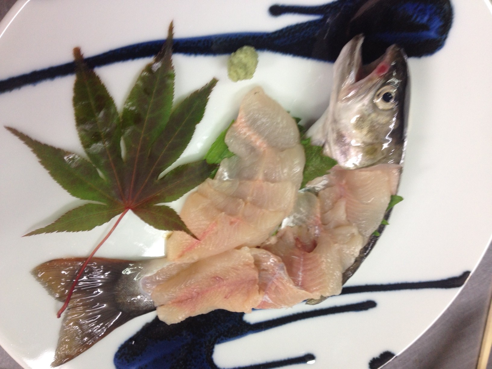 【公式サイト】岩魚釣り山女魚釣り奈川本流信州鳥屋沢 信州新奈川温泉 旅館 鳥屋沢（toyasa）