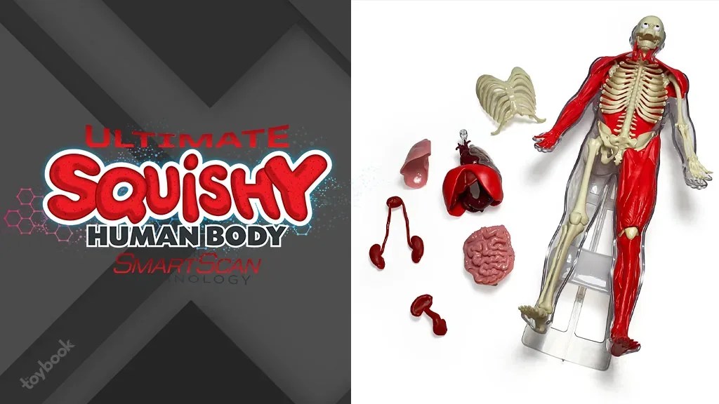 SmartLab Toys Introduces the Ultimate Squishy Human Body - The Toy Book