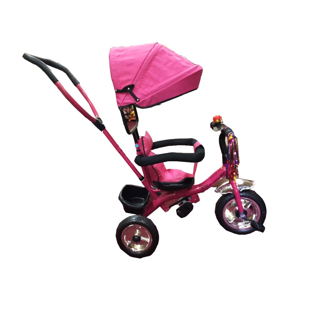 Parental Control Tricycle with Hood and Back Support for Kids Toyoos