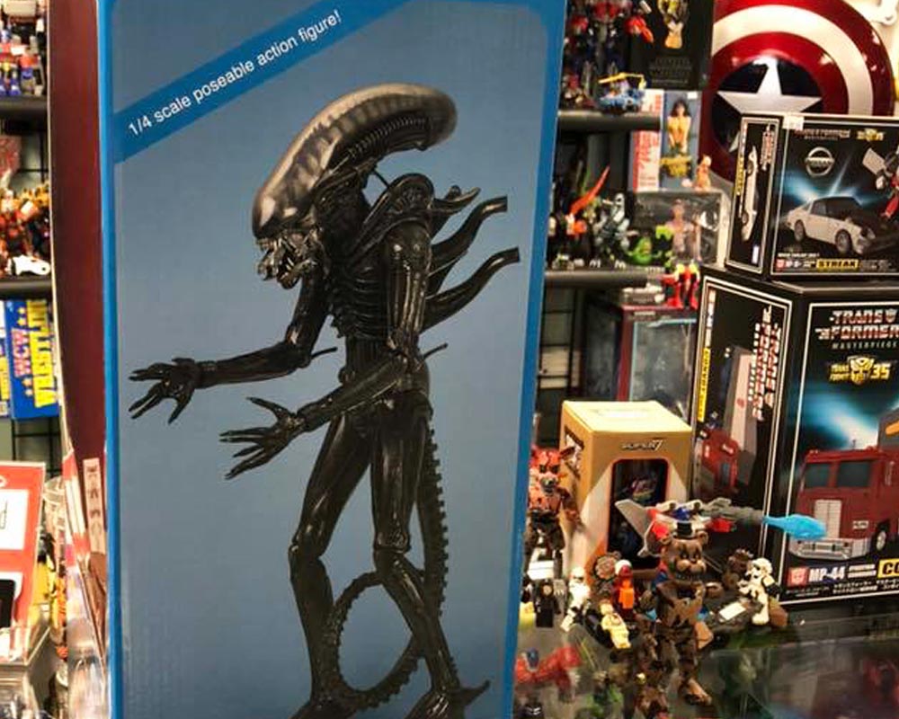 Toy Federation Toy Store Guide