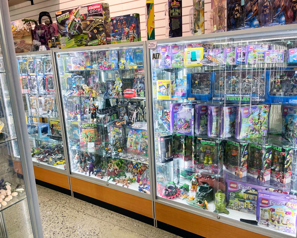 Hidden Treasures Toy Store Guide