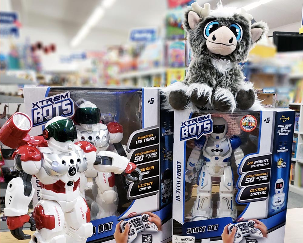 Launching Success Learning Store Toy Store Guide