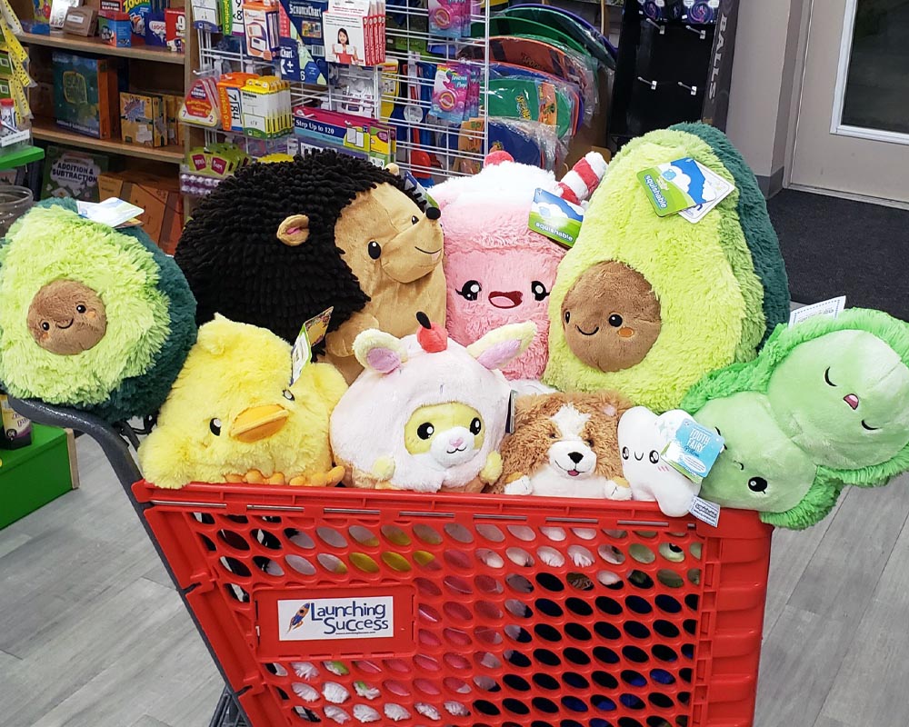 Launching Success Learning Store Toy Store Guide