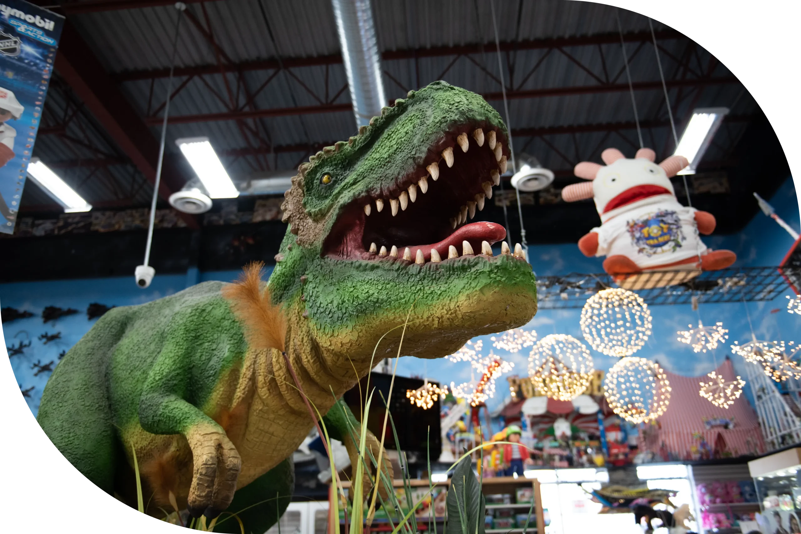 Canadas Largest Toy Store Toy Traders