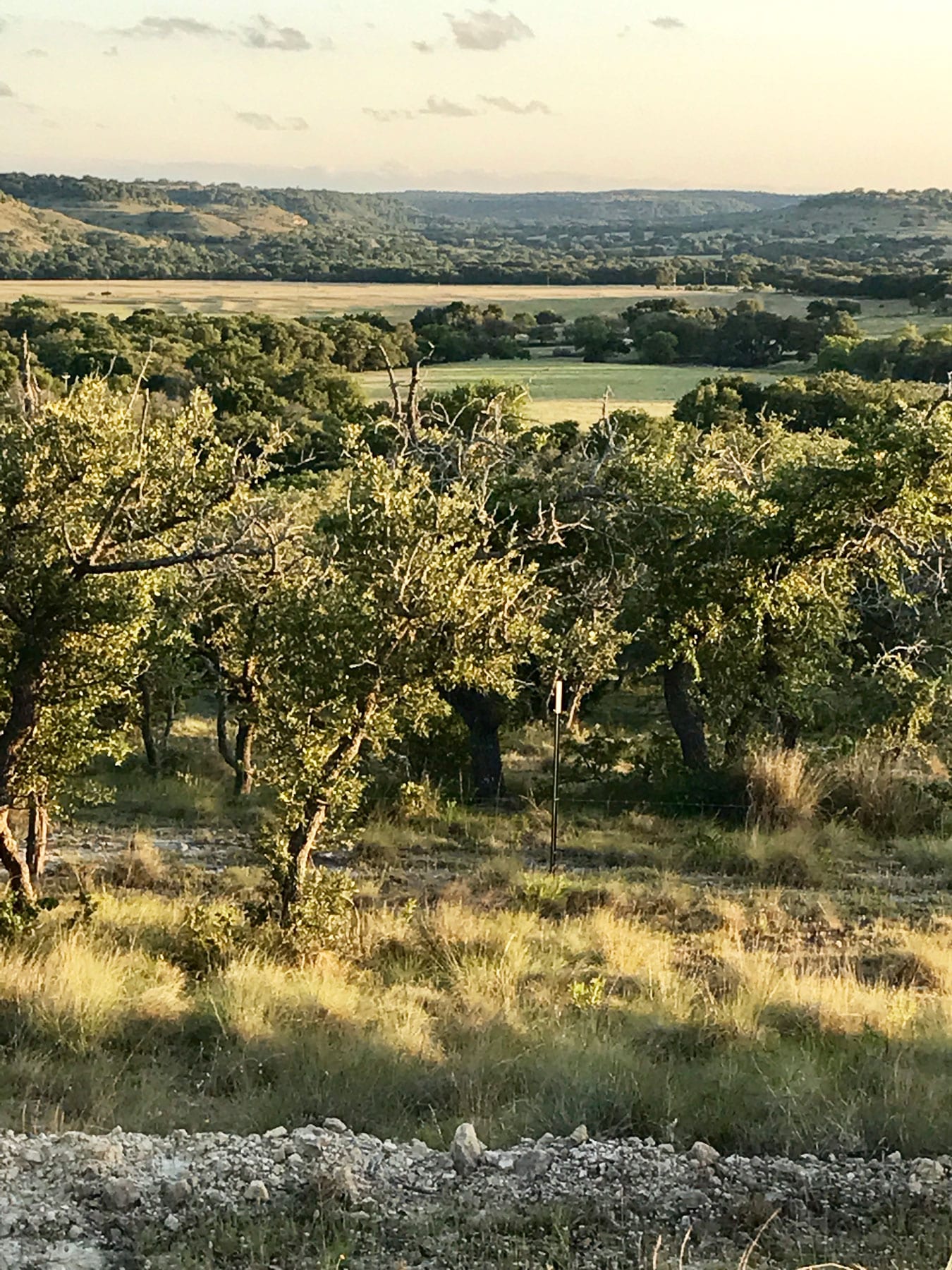Cattle Farm Photos, Texas Hill Country, TX
