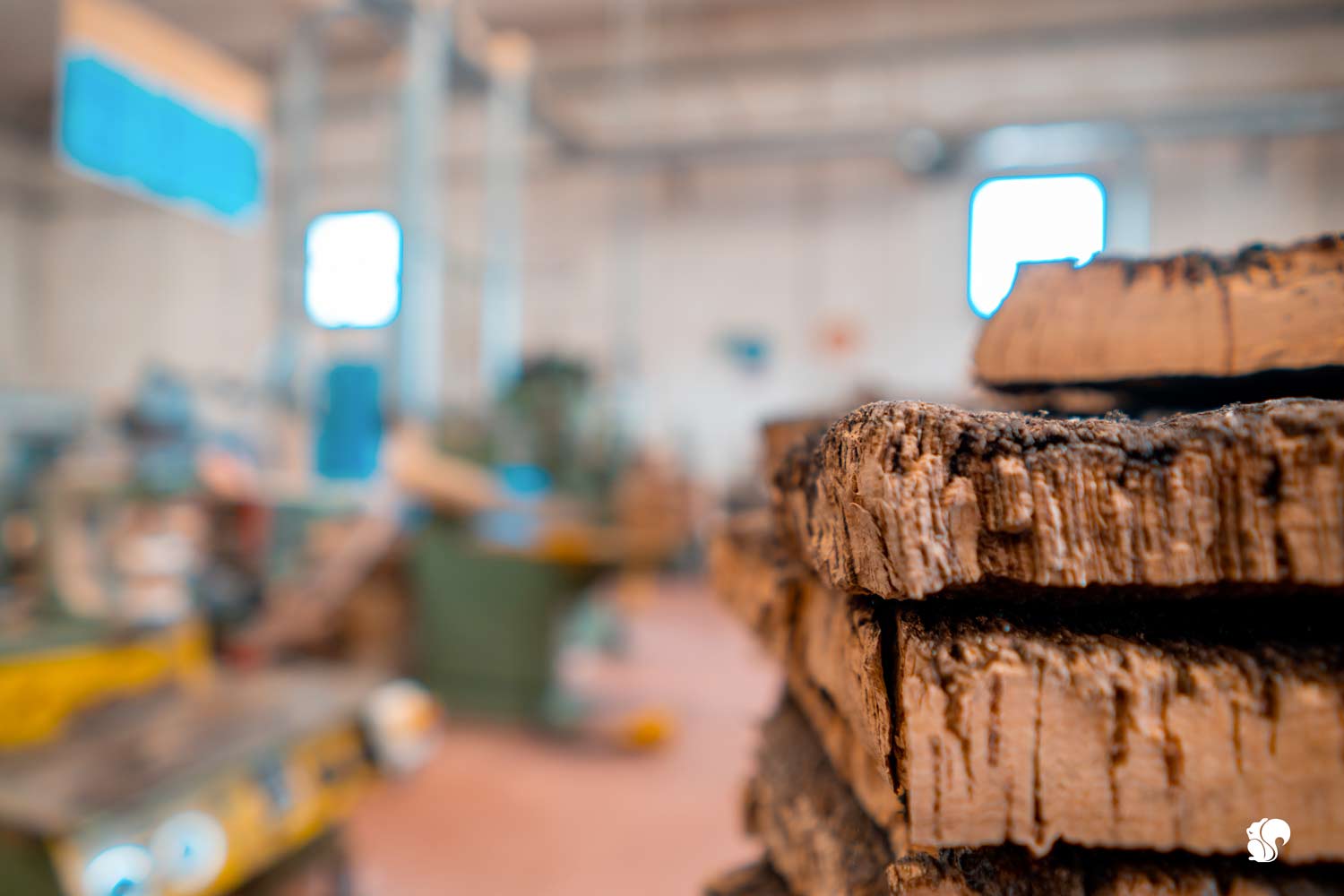 At the heart of TP cork solutions, discovering sardinian cork and it’s