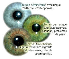 Interpretation Tpe Iridologie