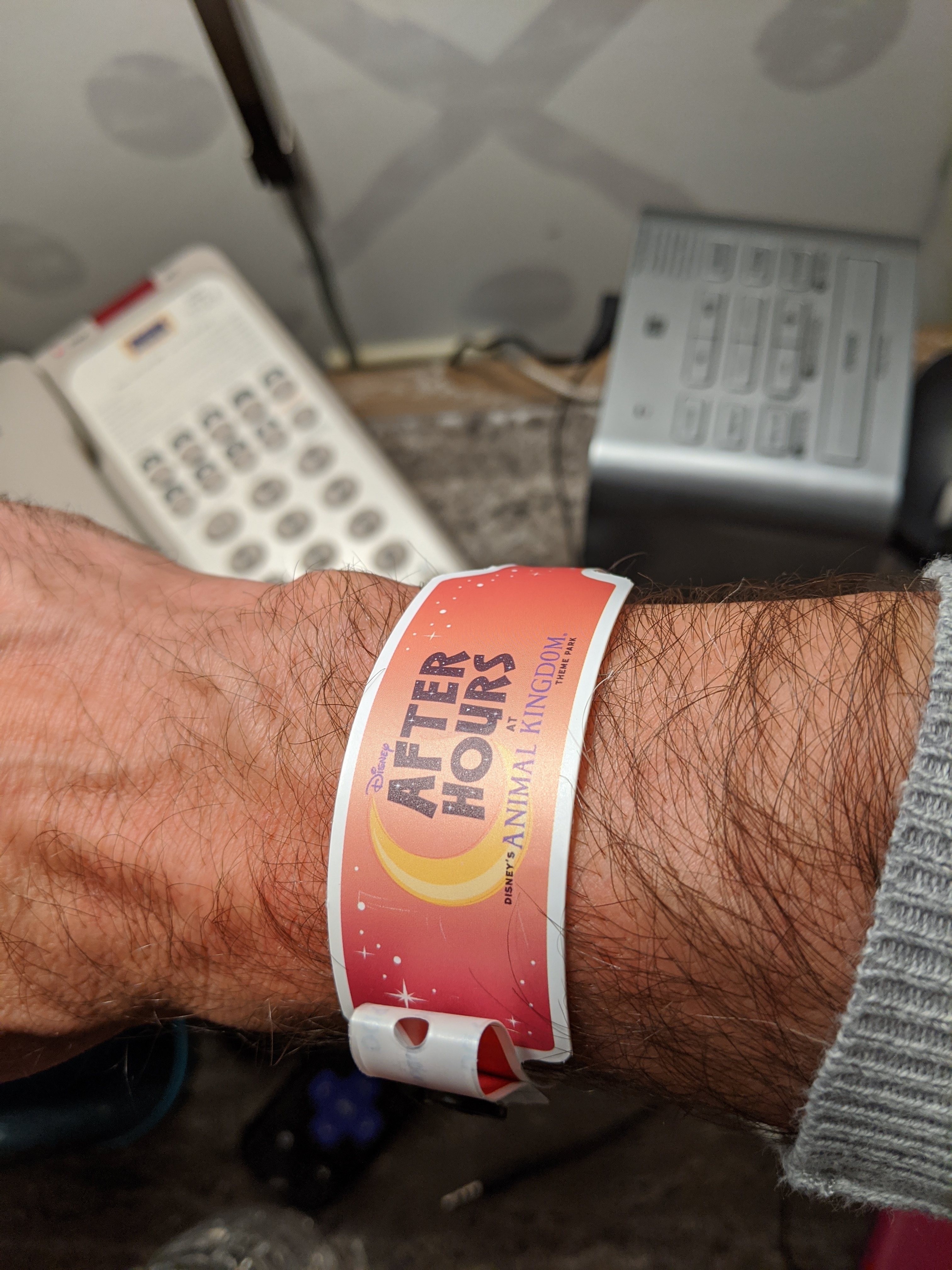 R o R Hollywoood Studios opening time Walt Disney World