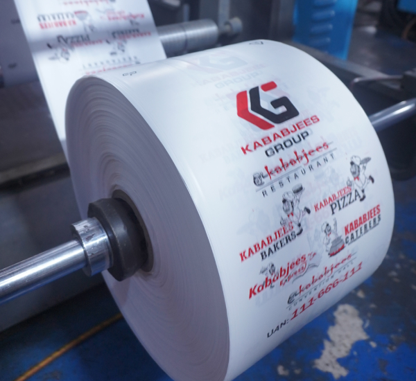 Hand Carry Bags Tanvir Packages (Pvt) Ltd.