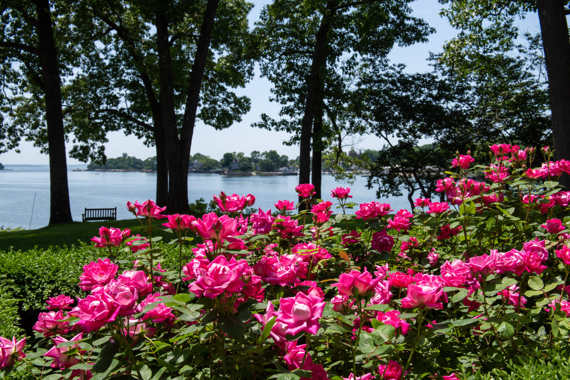 Thompson Raissis Architects, LLC