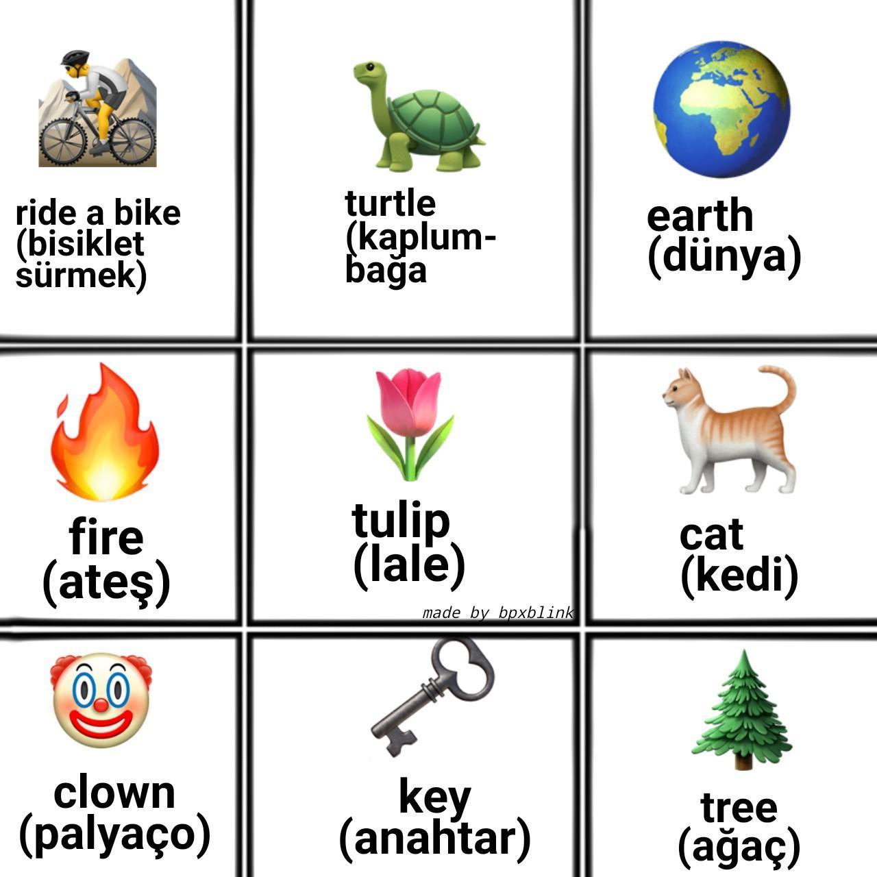 Prepare a ""Picture Dictionary"".