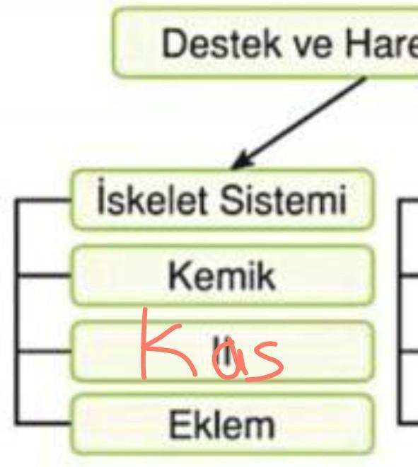 Boşluklara Ne Gelmeli ?