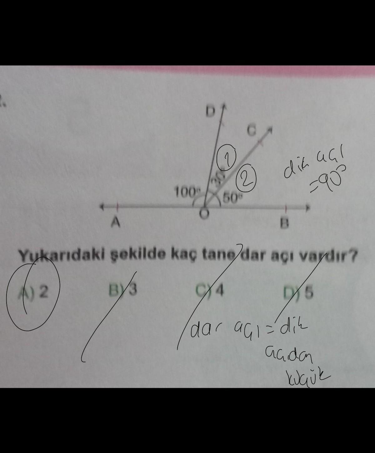 Yukarıdaki şekilde kaç tane dar acı vardır? A) 2 B) 3 C) 4 D) 5