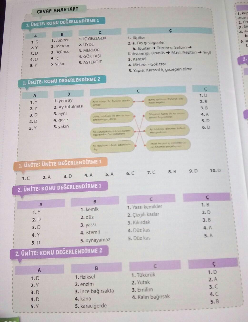 Fen bilimleri 6. Sınıf cevap anahtarı