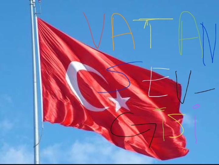 vatan sevgisi ile ilgili resimler