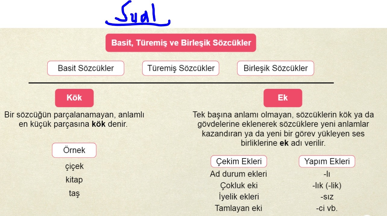 5) Aşağıdaki kelimelerin basit mi, türemiş mi, birleşik mi olduğunu belirleyiniz. Kelime Basit