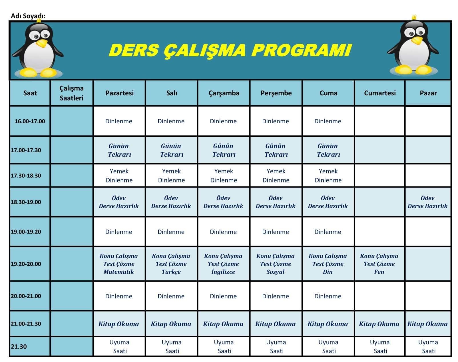 Günlük çalışma programı olan atabilirmi? saat 1530da geliyorum ona göre yazılırsa daha iyi olur