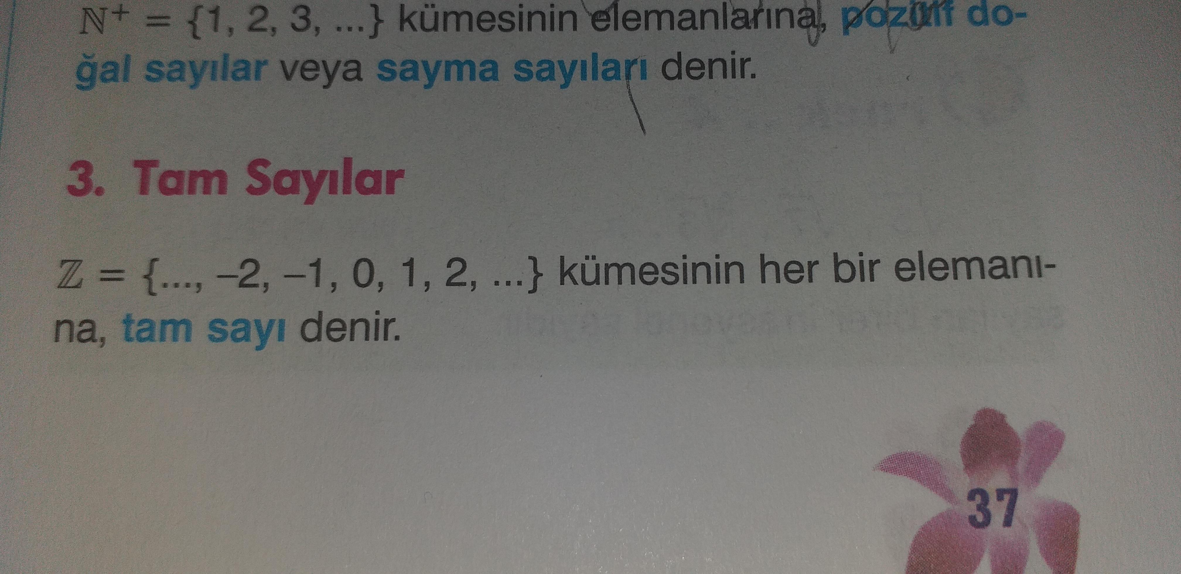 Matematikte Z işareti ne demektir farklı farklı cevaplar yazmışlar
