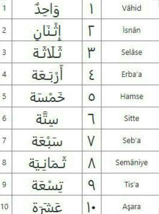arapça 110 arası sayılar acil