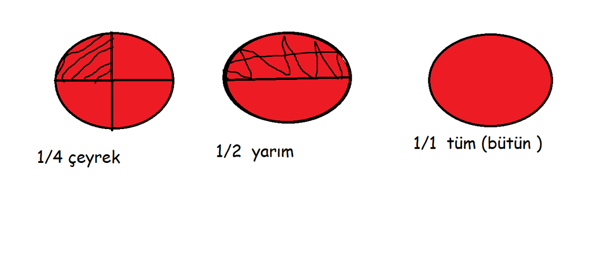 BÜTÜN YARIM ÇEYREK KAVRAMI HAKKINDA NELER BULABİLİRİZ