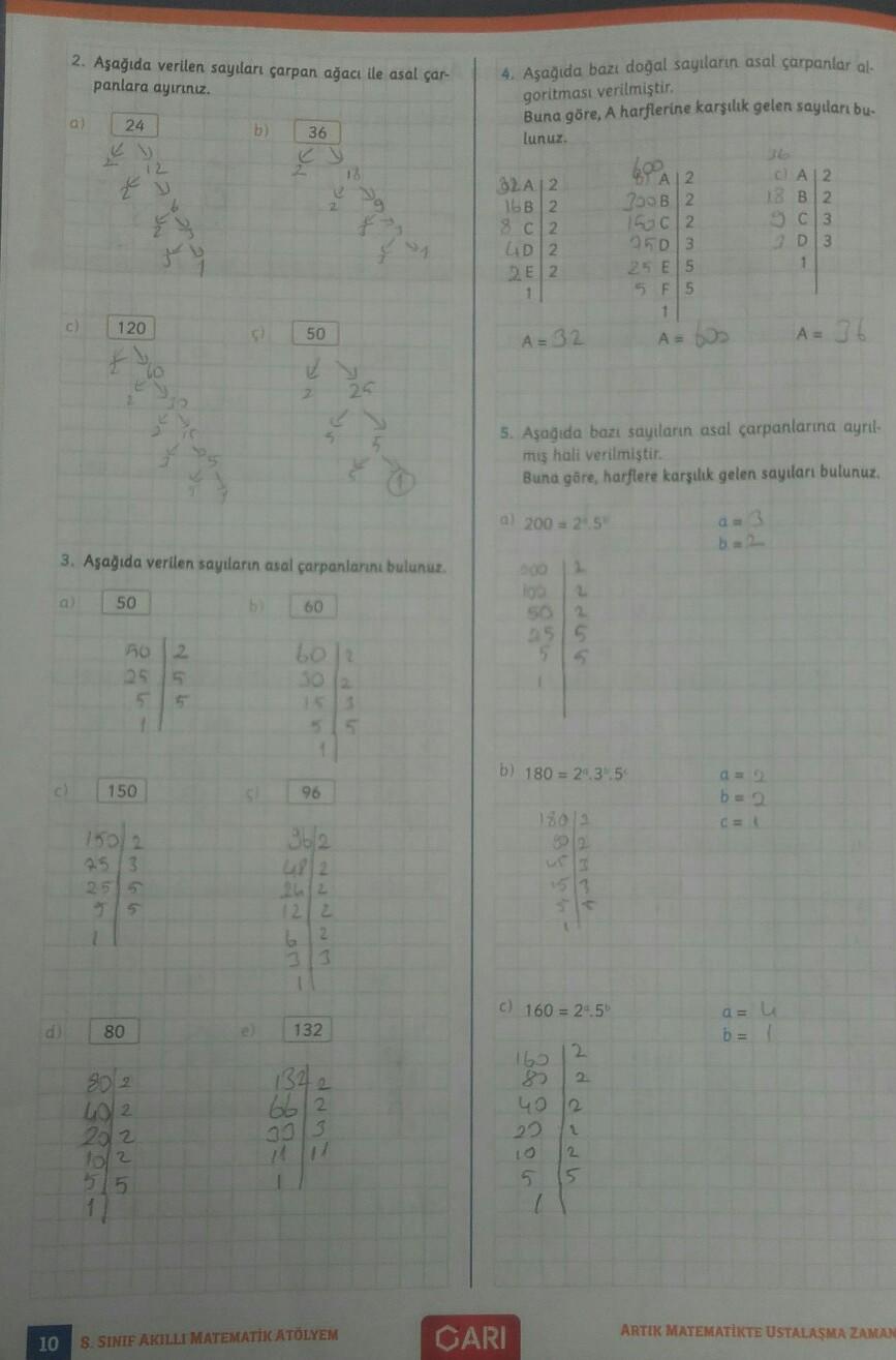 8 sinif matematik ari atolyem sayfa 10 un cevabi