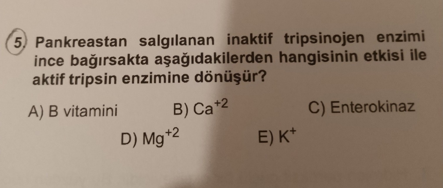 9.SINIF BİYOLOJİ ENZİMLER