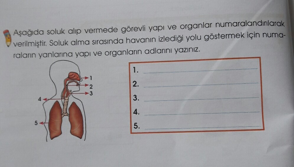yaparmisiniz 4. sınif fazla aciklamaniza gerek yok