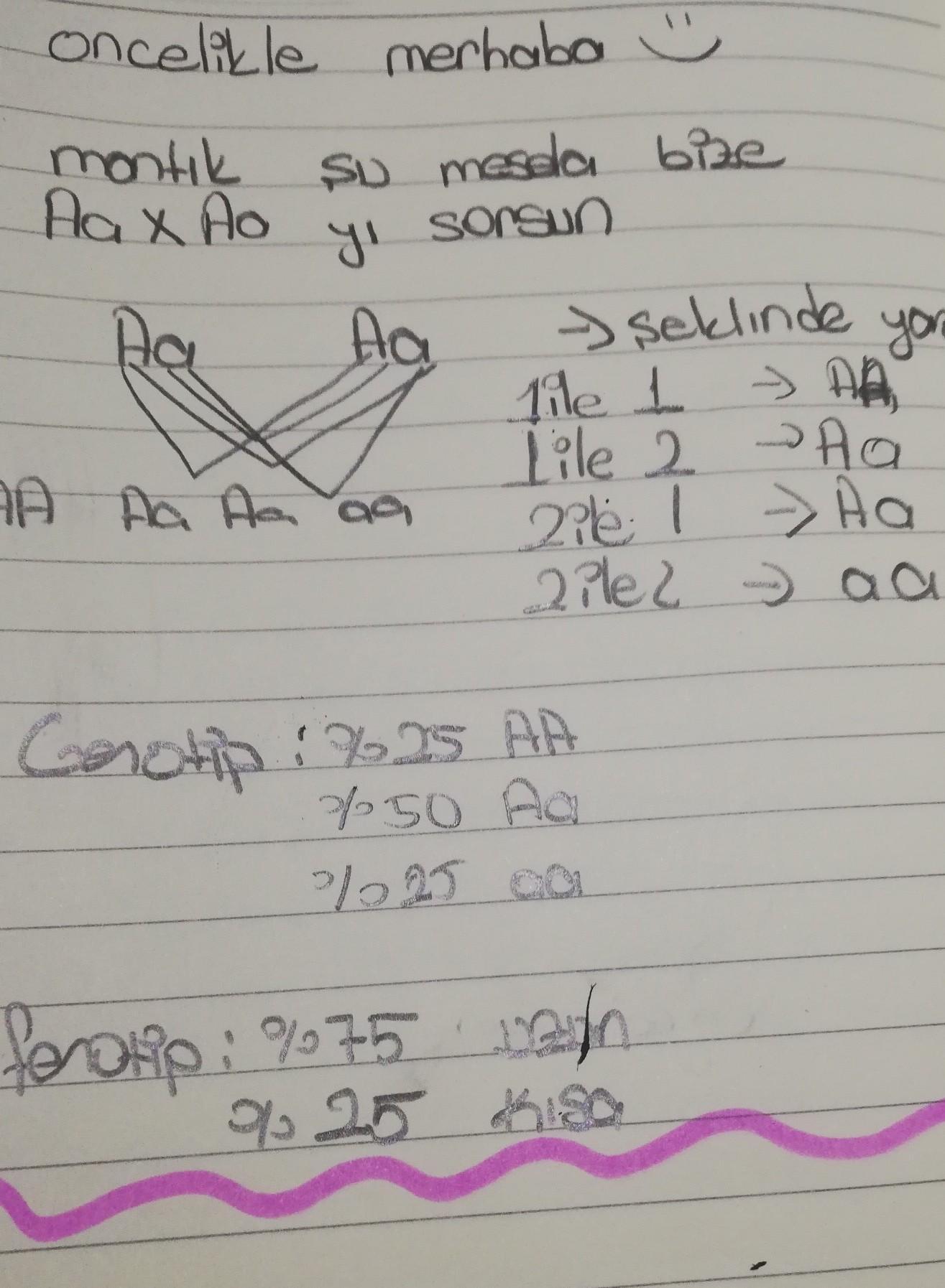 Aa × AaA=uzun boylu bezelyea=kısa boylu bezelyeNasıl çaprazlanır ?kaç