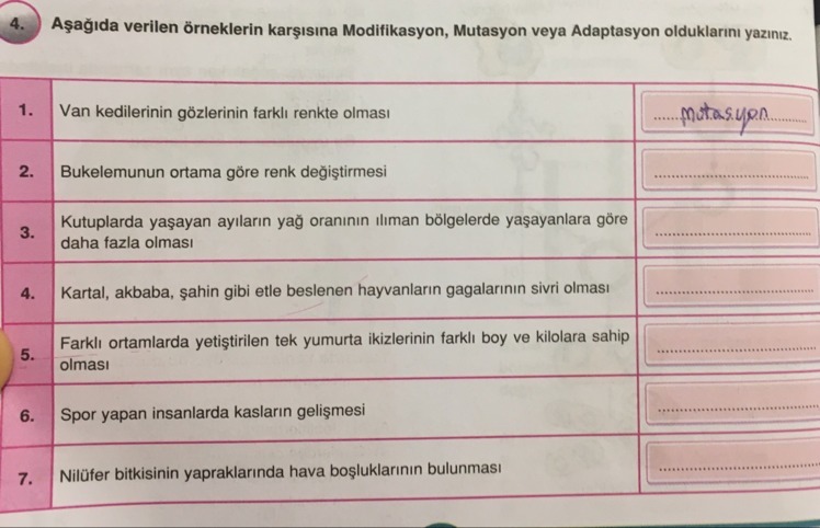 Lütfen cevaplayın acil yarın sınavım var.