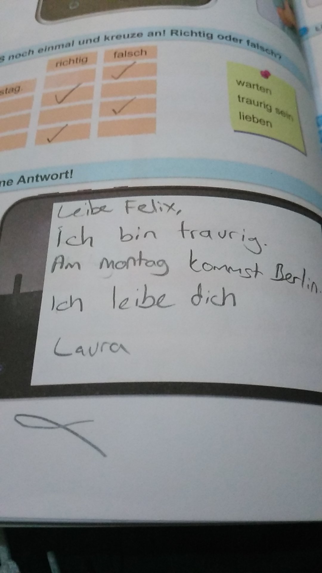 Liebe Laura Heute ist mein Geburtstag und du bist nich hier. Ich bin