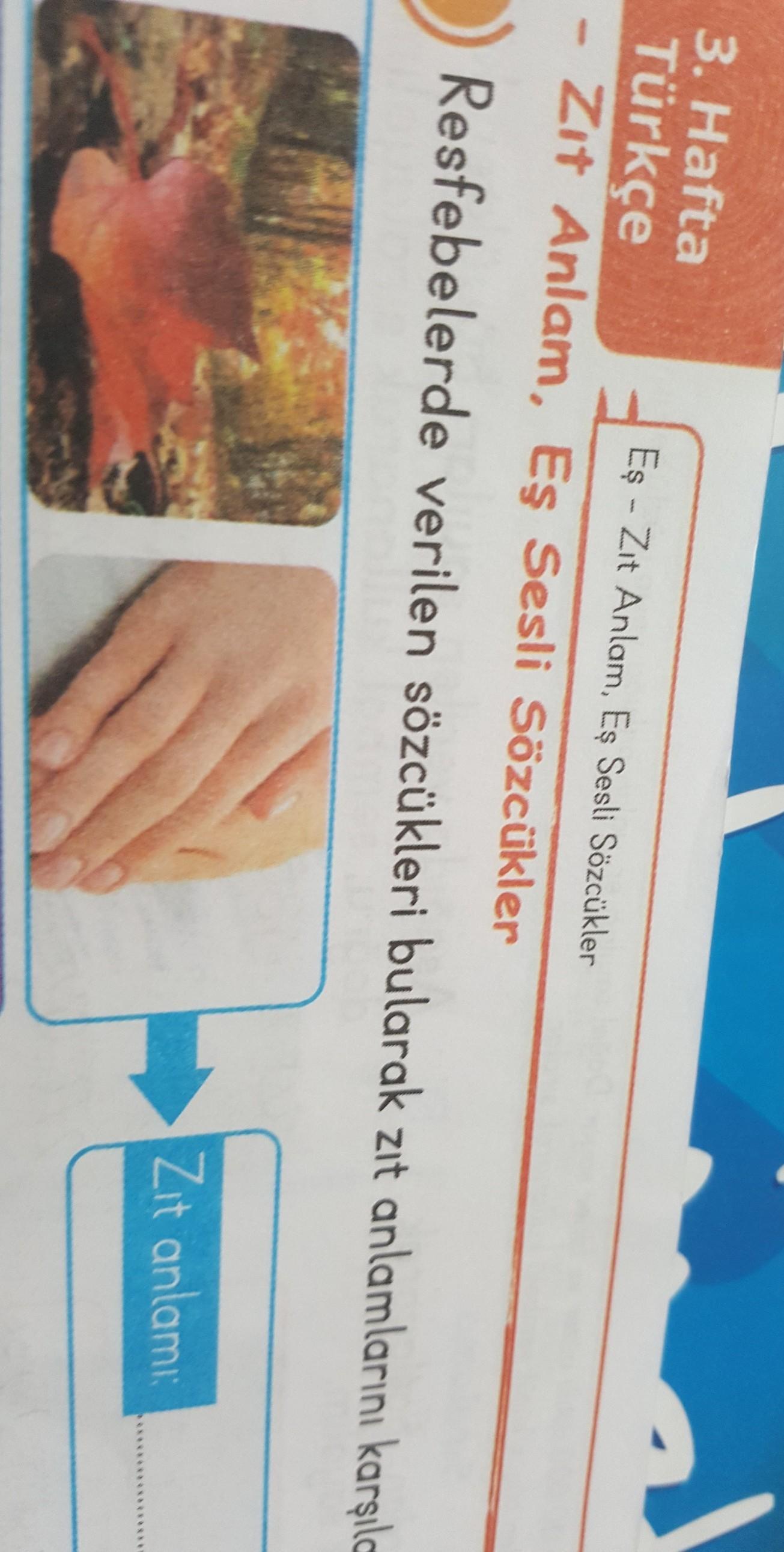 yaprak ve el ne demek ve zıt anlamlısı nedir acil