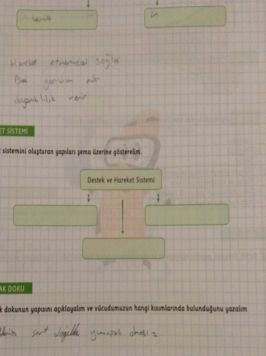 Destek ve hareket sistemi ile ilgili ?