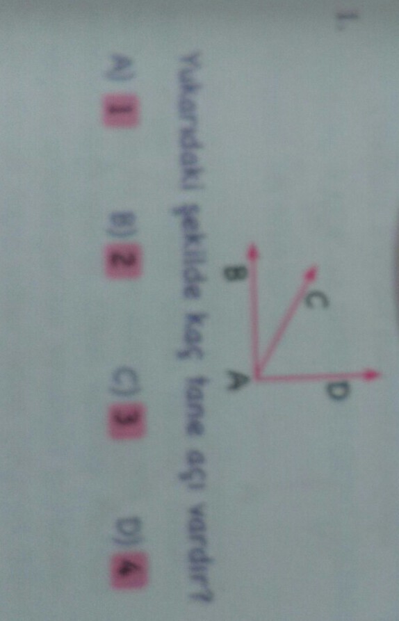 yukarıdaki şekilde kaç tane açı vardır