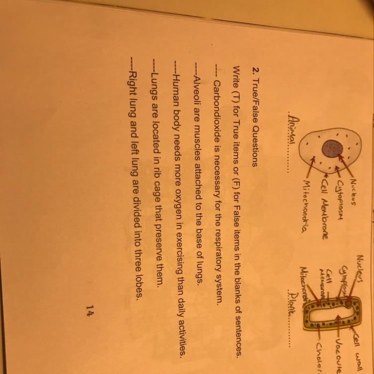 Çözebilir misiniz? Şimdiden teşekkürler