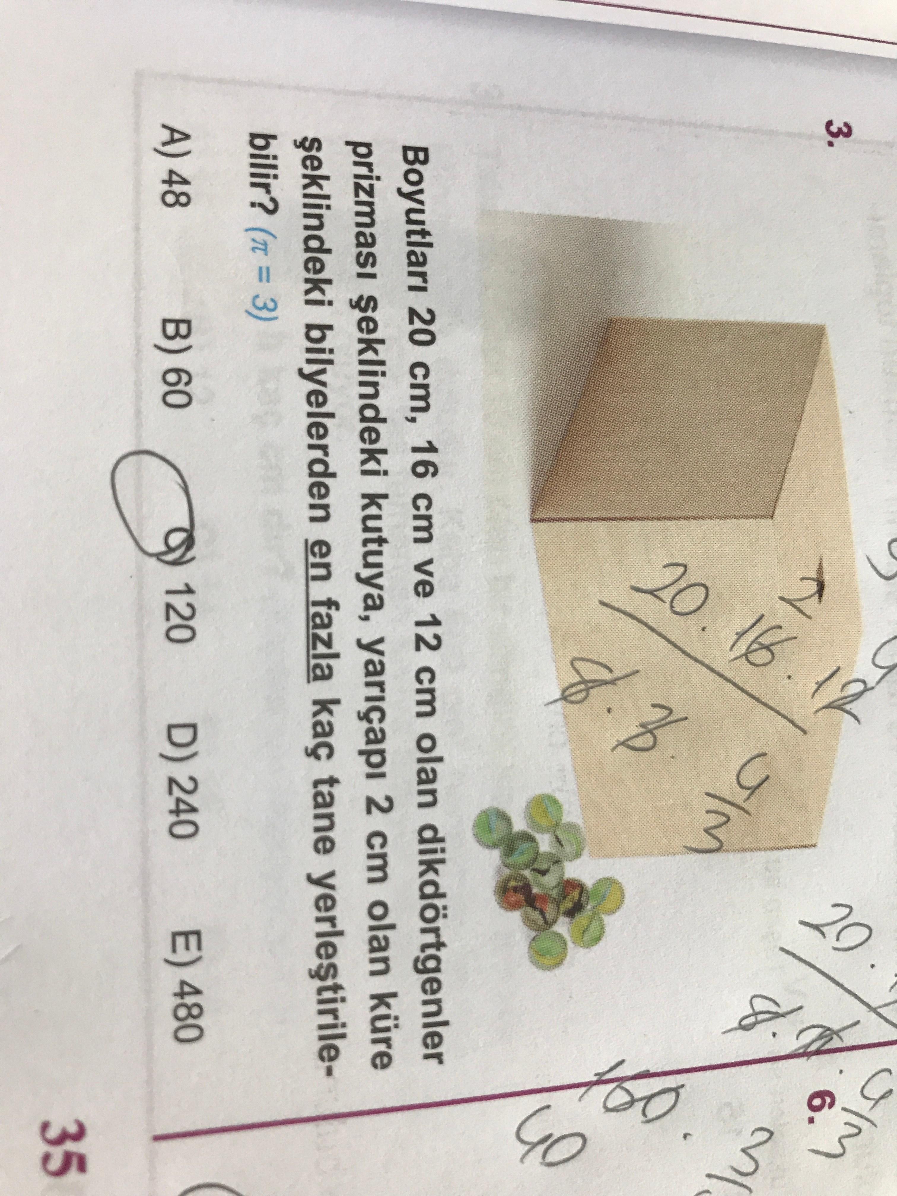 Urutan Takson Tumbuhan Dari Kelompok Terbesar Ke Kelompok