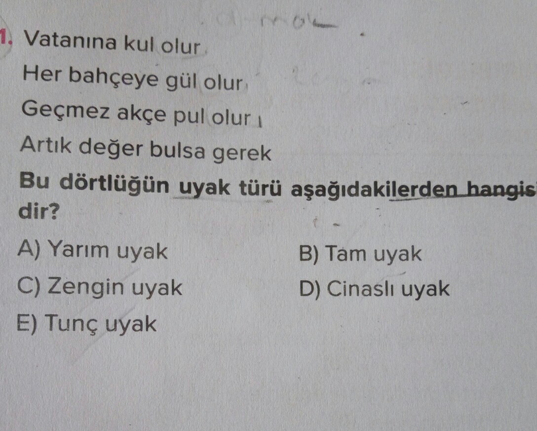 9.sinif edebiyat şiir konusu ANLATARAK YAPIN LÜTFEN!