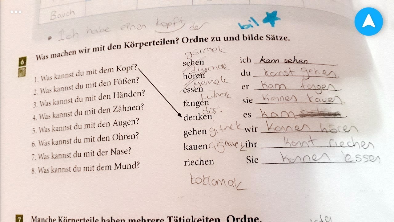 Almanca performans ödevim için organlar ve görevlerini anlatmam