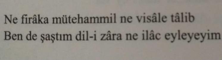 Bu beyitin vezni nedir ?