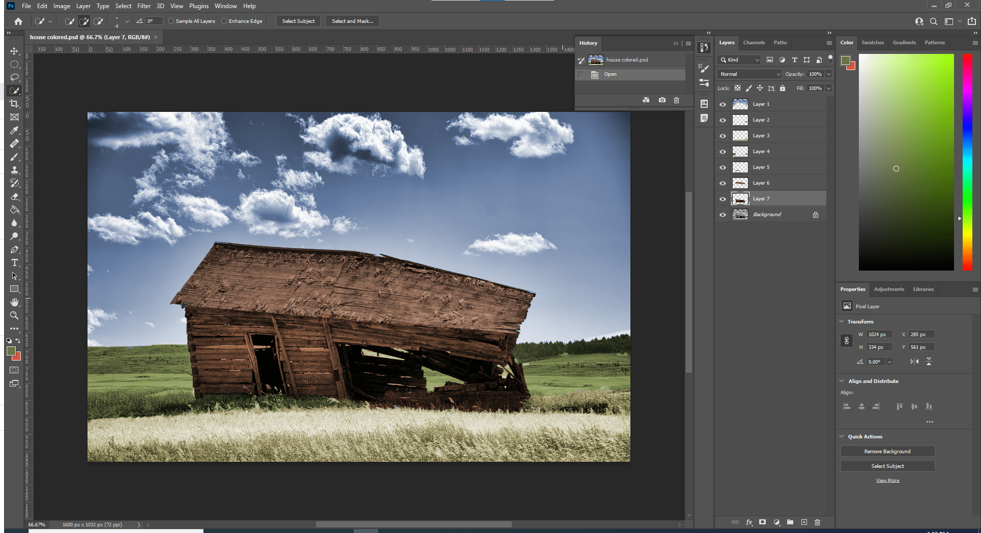 Colorization project Trace Digital Portfolio