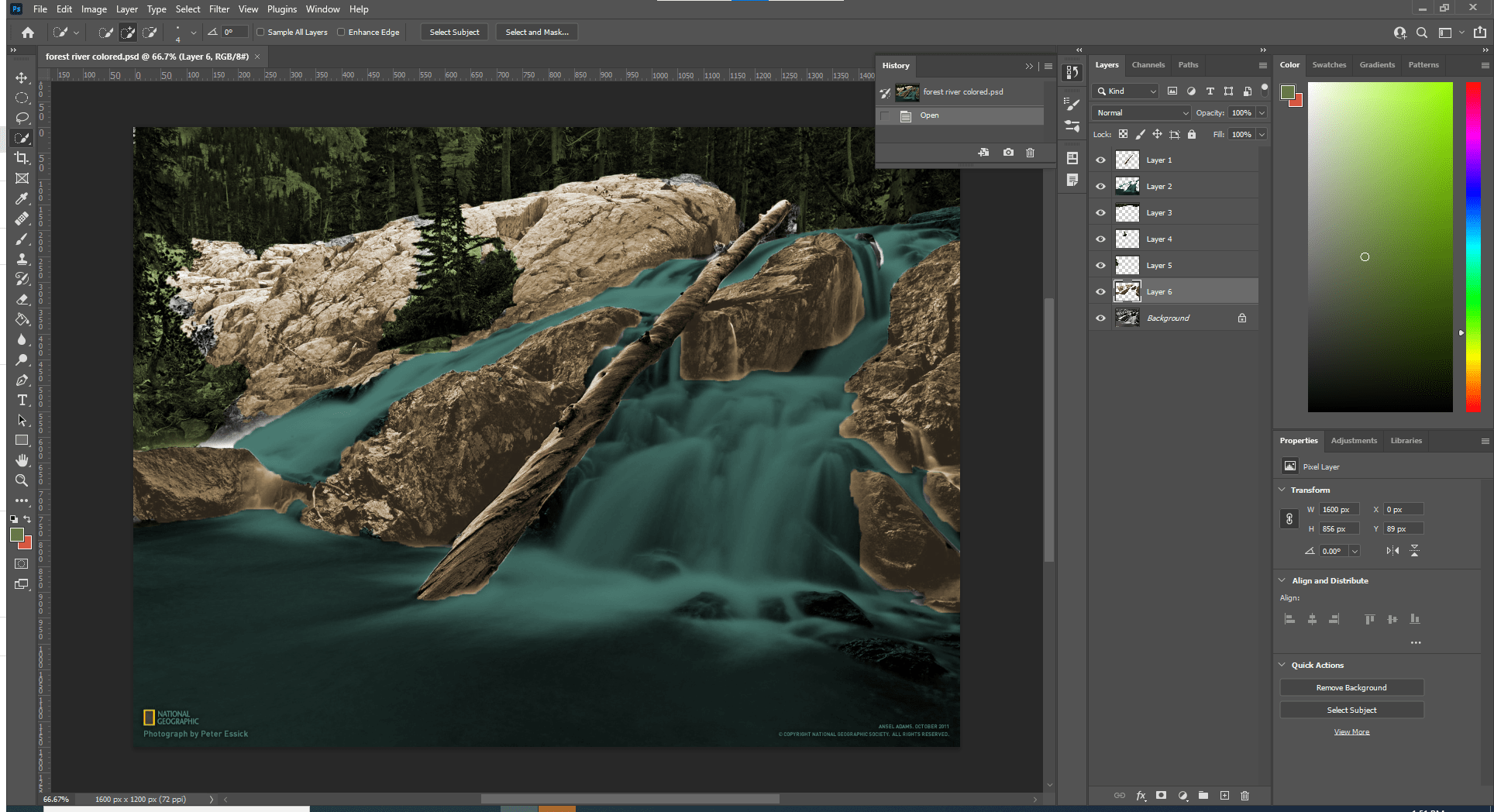 Colorization project Trace Digital Portfolio