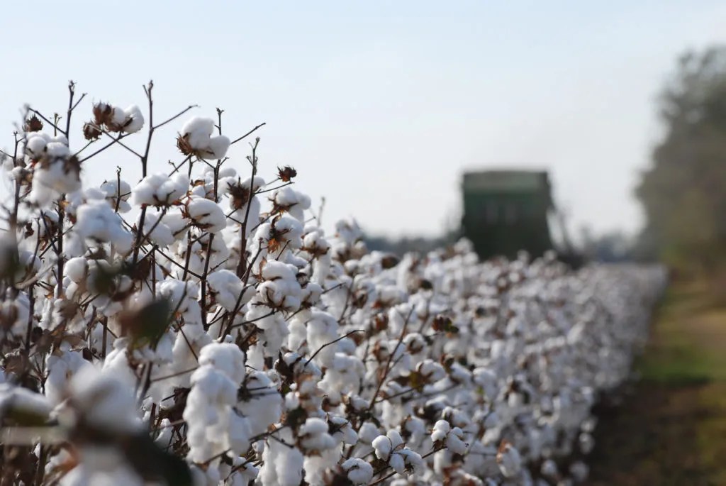 Traceability of the Cotton Supply Chain Blockchain Traceability