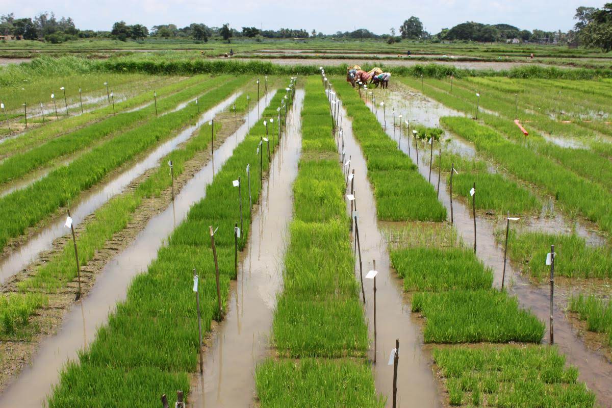 6 Best Farm Management Practices Crop Management