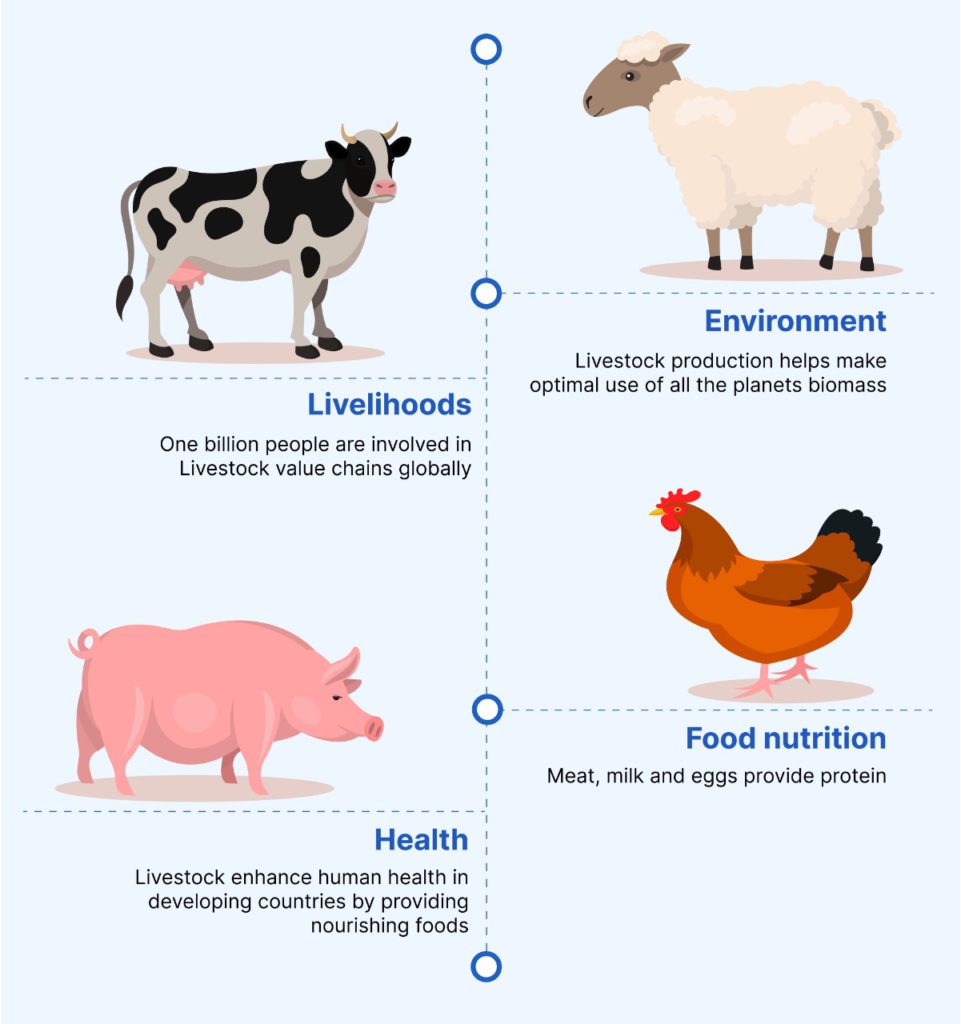 Importance of Meat Traceability Blockchain for Food Safety