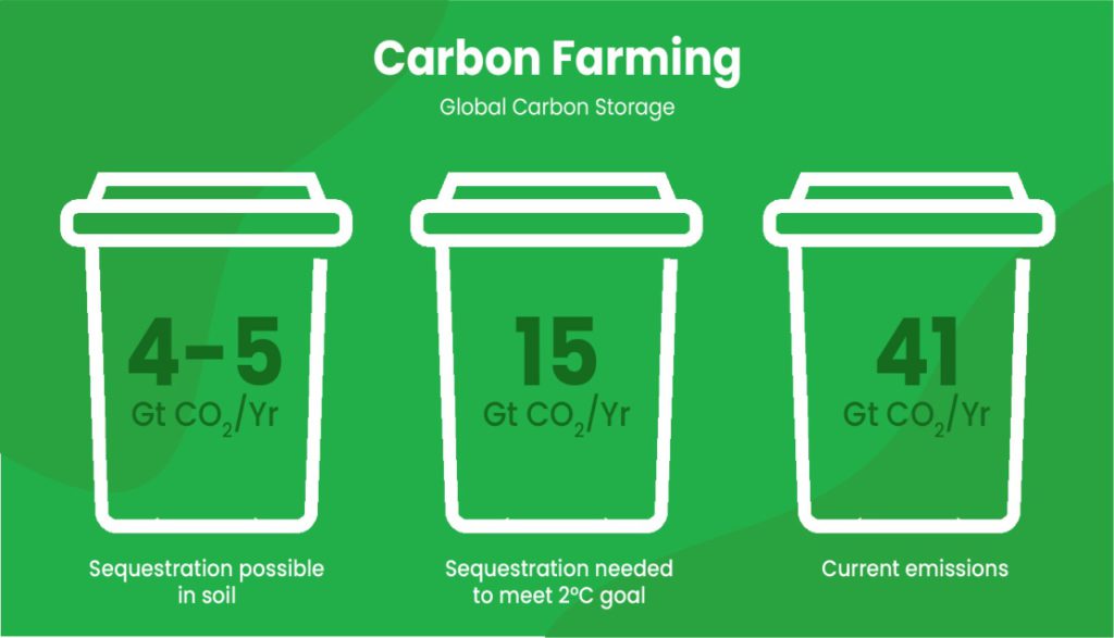 Carbon Neutral Farming Innovations Reshaping Food Production