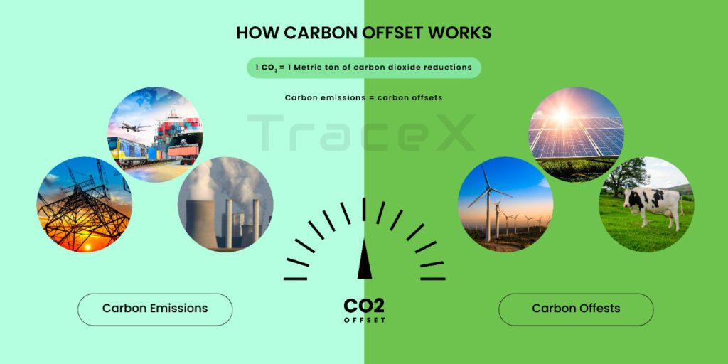 Carbon Credits 5 Things to know Netzero