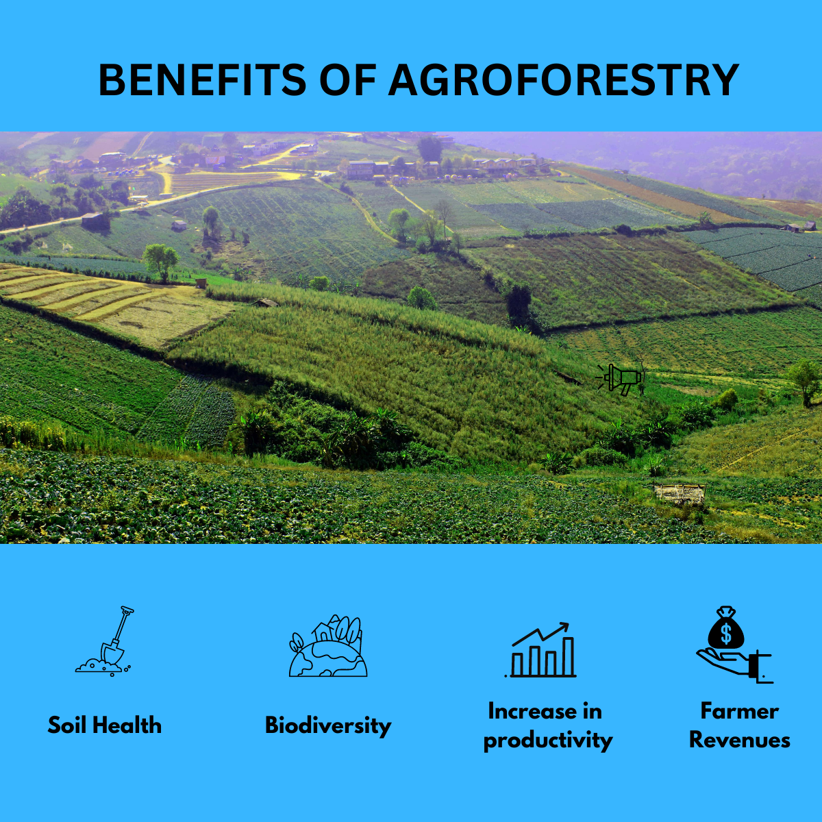 4 Benefits of Agroforestry Transforming Landscapes for Prosperity and